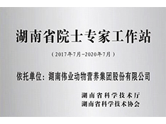 湖南省院士專(zhuān)家工作站